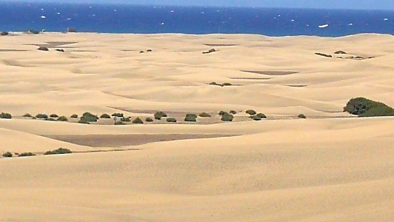 Green Sea Top Bungalow jardin Apartment Maspalomas  Bagian luar foto